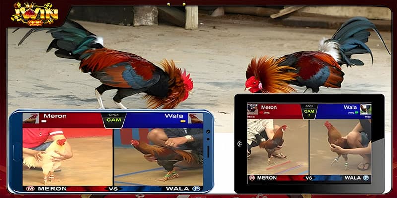 Tại sao nên chọn IWIN thay vì các nền tảng khác?